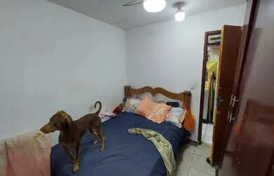 Imagem 7: Apartamento Cobertura com Lage e vista livre na Rocinha