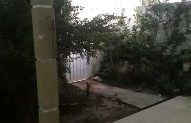 Imagem: A casa possui 2 Dormitórios, 2 Banheiros, 3 Vagas na garagem