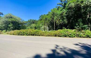 Imagem 2: A venda terreno de 21.299,70m² localizado no Parque dos Pinheiros em...