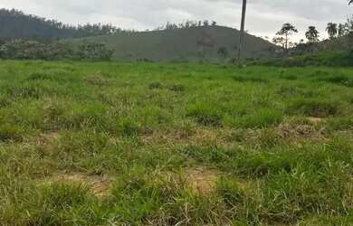 Imagem 6: Imóvel para venda com 5000 metros quadrados em Centro - Campinas - SP