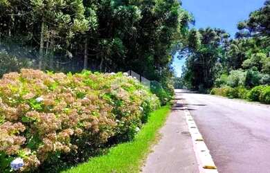 Imagem 5: A venda terreno de 21.299,70m² localizado no Parque dos Pinheiros em...