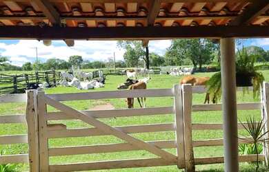 Imagem: A fazenda possui 1.010.000m² de Área e está localizado em