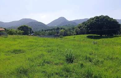 Imagem 2: Área de 75 mil m2 á venda na Ilha de Guaratiba - Rio de Janeiro - RJ