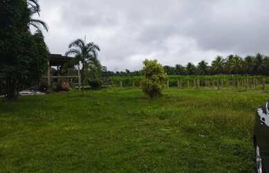 Imagem 11: Fazenda na pista Rodovia BR174, entre Km 60 e 63. 2.449ha com 3.900mts de fachada. 45.000