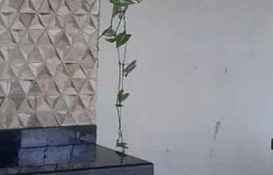 Imagem 11: CASA DE PRAIA POR TEMPORADA