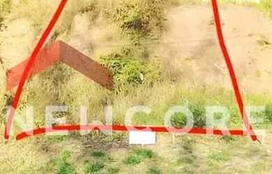 Imagem: Lote em Rua Almerinda dos Santos - Ponte Seca - Ribeirão Pires/SP