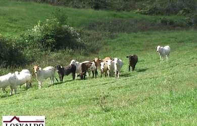 Imagem 3: Jiquiriçá - RURAL - Zona Rural