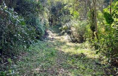 Imagem 9: Juquitiba - Terreno Padrão - Loteamento Parque das Palmeiras II