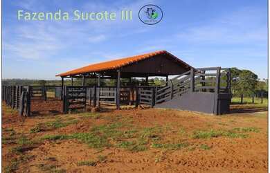 Imagem 6: Fazenda 46 alqueirao com tudo novo Campina Verde-