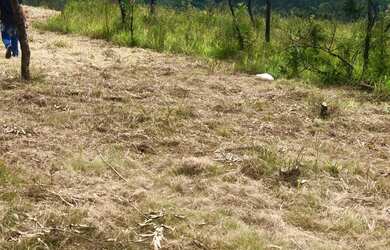 Imagem: O terreno possui 1.000m² de Área e está localizado em Centro