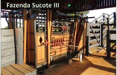 Imagem 9: Fazenda 46 alqueirao com tudo novo Campina Verde-