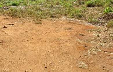 Imagem 3: Lote 108 Norte quadra ao lado Jk