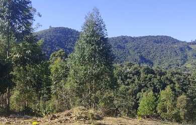 Imagem 9: Lote/Terreno para venda possui 5000 metros quadrados em santa luzia