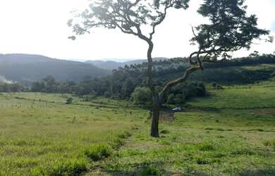 Imagem 9: Lote/Terreno para venda tem 1000 metros quadrados em vila verde