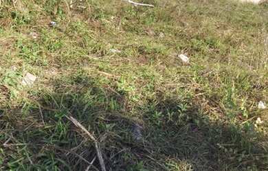 Imagem 4: Terreno em Itaoca praia. 