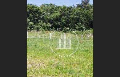 Imagem 3: Terreno à venda, 450 m² por R$ 250.000,00 - Forquilhas - São José/SC