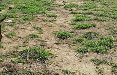 Imagem 5: Terreno em Cabo Frio. 250m² de Área