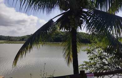 Imagem 10: Casa Alto padrão Balneário Meaípe Lagoa Maembá R$ 3.000.000,00 6 qtos