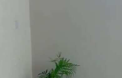 Imagem 5: Casa para alugar. 55m² de Área, 1 Vaga na garageme2 Dormitórios