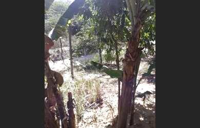 Imagem 6: Casa a venda. Varanda, 1 Banheiroe1 Dormitório