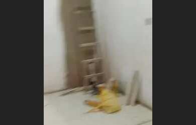 Imagem: A casa possui 2 Dormitórios, 1 Banheiro e 100m² de Área e