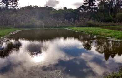Imagem 5: Linda Chácara - Fazenda Rio Grande
