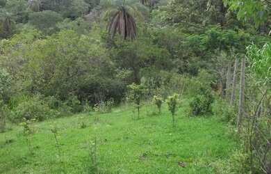 Imagem: O terreno está localizado em Jaboticatubas, MG à venda por