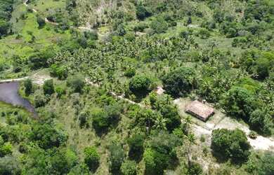 Imagem 11: Fazenda Mista em Conde -BA