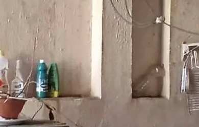 Imagem 2: Casa à venda em São José com 360m², 6 Quarto s e 2 Vaga s