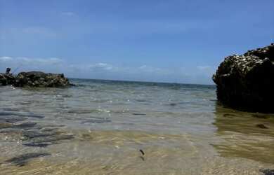 Imagem: O terreno possui 700m² de Área e está localizado em Saubara