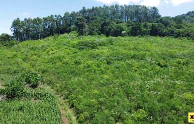 Imagem 13: Sítio / Chácara para Venda em Nova Petrópolis, Linha Olinda, 2 dormitórios,...