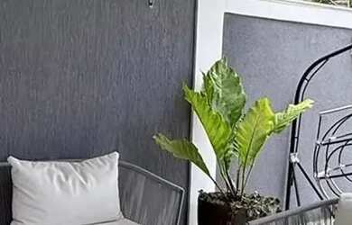 Imagem 11: Imóvel para aluguel com 320 metros quadrados com 3 quartos