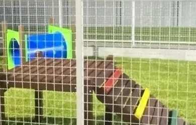 Imagem 9: Via Venezia - Fica localizado pertinho da Unesc! Proximo ao supermecado,restaurante, padar