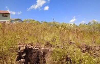 Imagem 3: Terreno,bairro Nossa Senhora das Graças