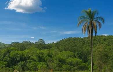 Imagem 2: Imóvel para venda tem 600 metros quadrados em Companhia Fazenda Belém...