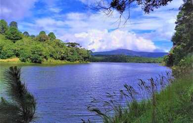 Imagem 3: Área para Venda em Tijucas do Sul, São Joãozinho