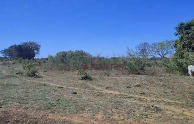 Imagem 6: Fazenda à venda, 561 hectares por R$ 7.100.000 - Zona Rural - São João...