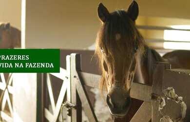 Imagem 2: FAZENDA REAL I/II - VENDA