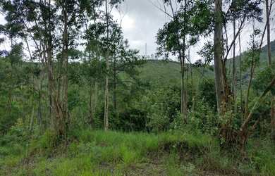 Imagem 10: Bota Fora - Área Rural com 52 Alqueires Região da Fernão Dias