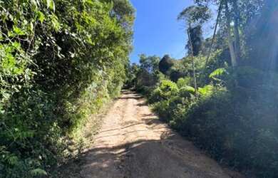 Imagem 7: Juquitiba - Terreno Padrão - Loteamento Parque das Palmeiras II