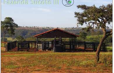 Imagem 2: Fazenda 46 alqueirao com tudo novo Campina Verde-