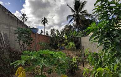 Imagem: O terreno está localizado em Lagarto, SE à venda por R$52.000