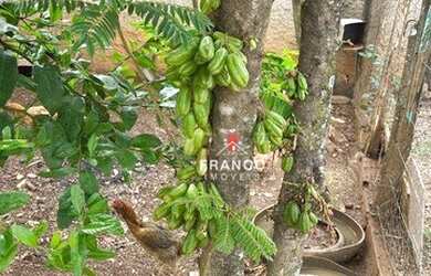 Imagem 2: Linda Chácara totalmente plana, com Lago nos Fundos