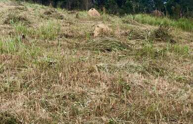 Imagem: O terreno está localizado em Centro, Mairiporã à venda por