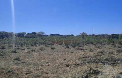 Imagem 2: Fazenda à venda, 561 hectares por R$ 7.100.000 - Zona Rural - São João...