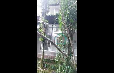 Imagem: A casa possui 4 Dormitórios, 3 Banheiros, 380m² de Área e