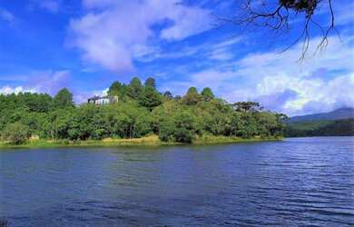 Imagem 4: Área para Venda em Tijucas do Sul, São Joãozinho