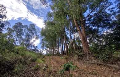 Imagem 3: chacara sítio fazenda. 20.000m² de Área