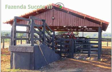 Imagem 14: Fazenda 46 alqueirao com tudo novo Campina Verde-