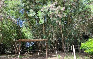 Imagem: O terreno possui 26400m² de Área e está localizado em Chácaras